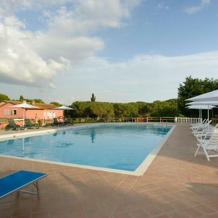 Apartament Agriturismo Colle Al Sole Castiglione del Lago Zewnętrze zdjęcie