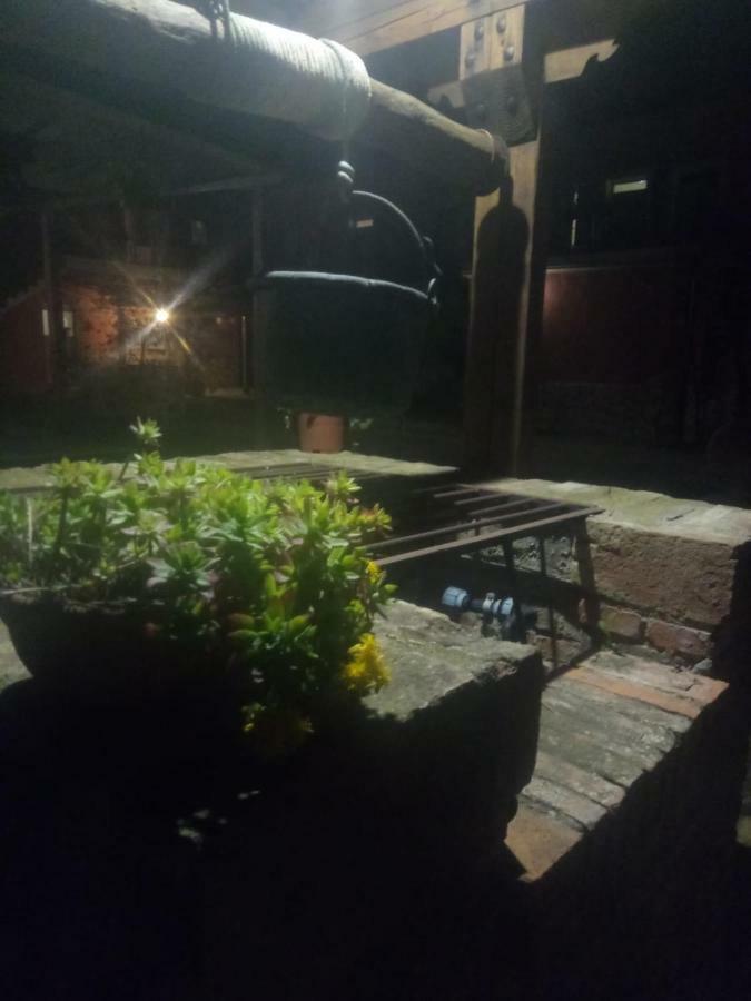Apartament Agriturismo Colle Al Sole Castiglione del Lago Zewnętrze zdjęcie