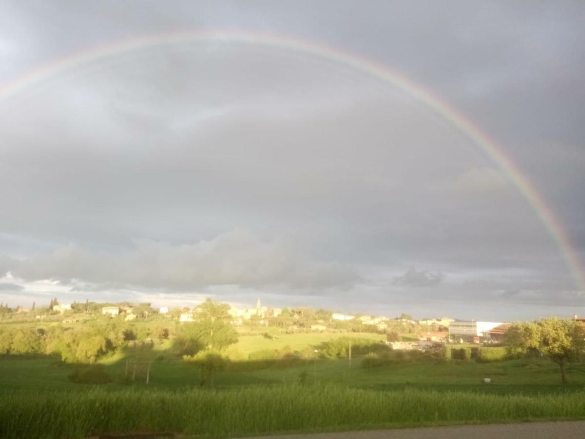 Apartament Agriturismo Colle Al Sole Castiglione del Lago Zewnętrze zdjęcie