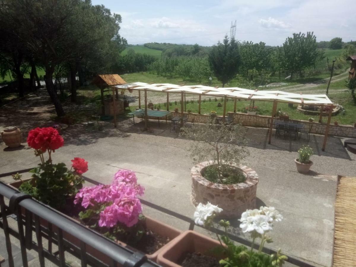 Apartament Agriturismo Colle Al Sole Castiglione del Lago Zewnętrze zdjęcie