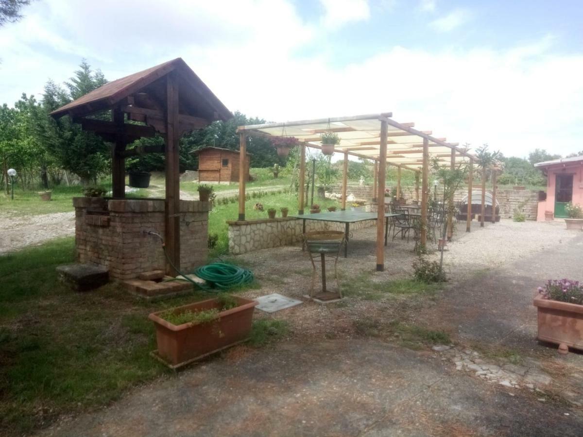 Apartament Agriturismo Colle Al Sole Castiglione del Lago Zewnętrze zdjęcie