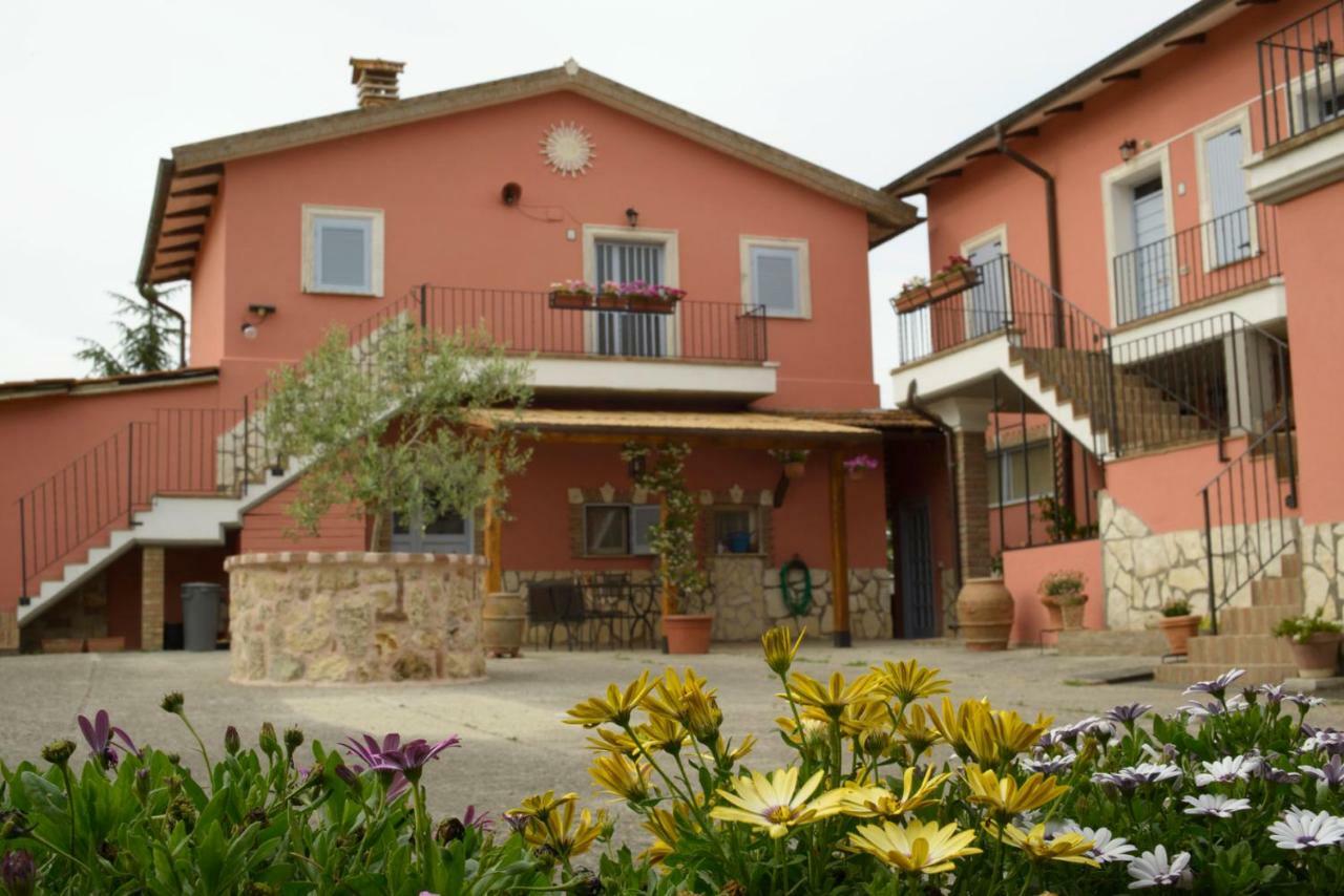 Apartament Agriturismo Colle Al Sole Castiglione del Lago Zewnętrze zdjęcie