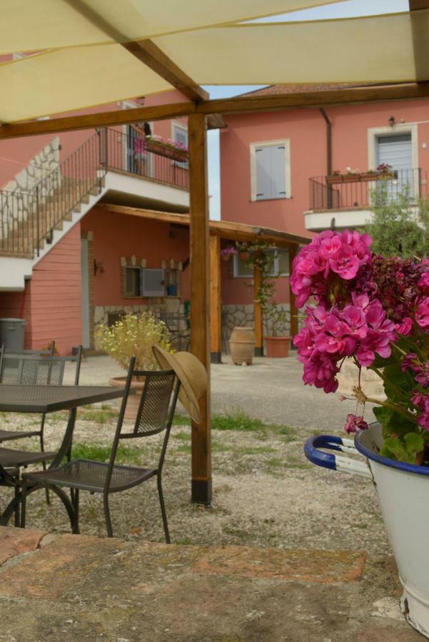 Apartament Agriturismo Colle Al Sole Castiglione del Lago Zewnętrze zdjęcie