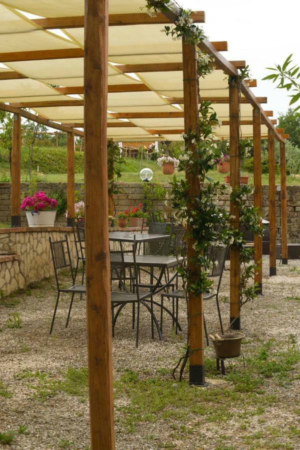 Apartament Agriturismo Colle Al Sole Castiglione del Lago Zewnętrze zdjęcie
